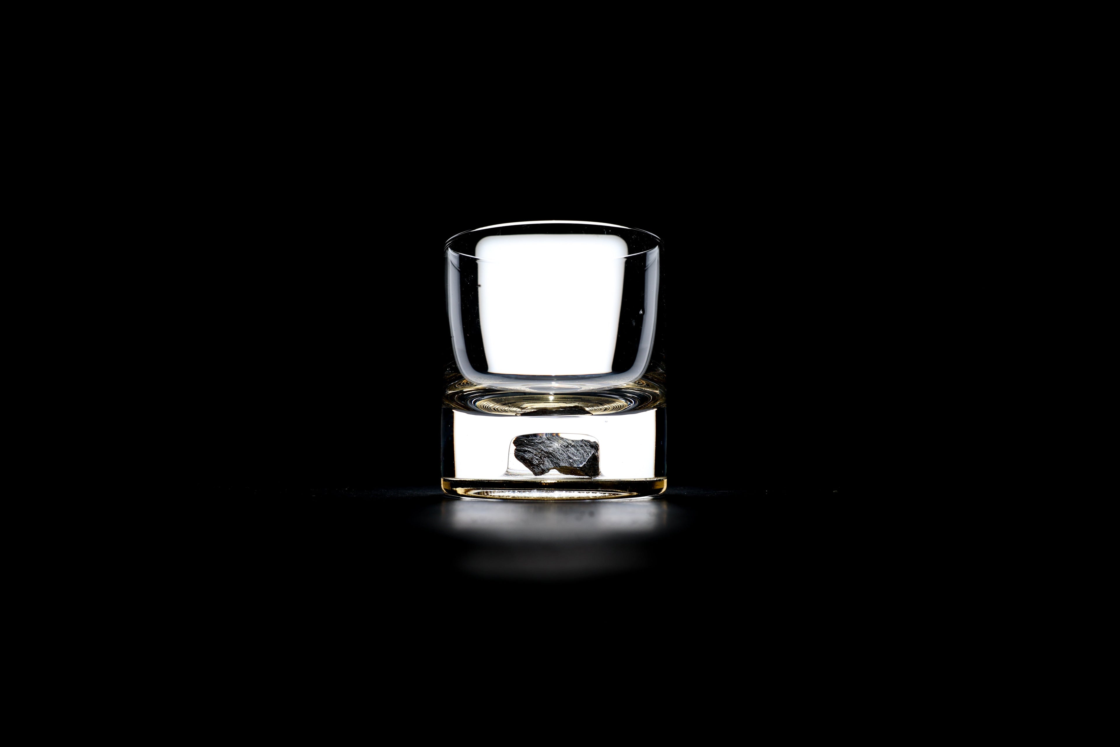 Dinosaur Bone Shard Tumbler (Series III) - Set of 2