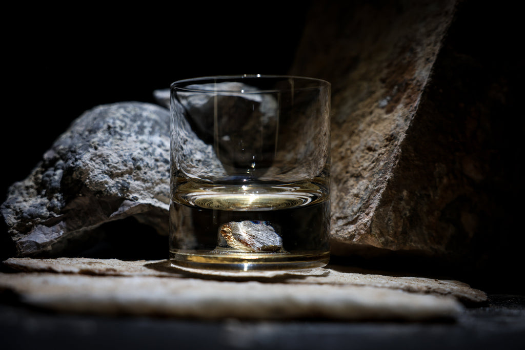 Dinosaur Bone Shard Tumbler (Series III) - Set of 2