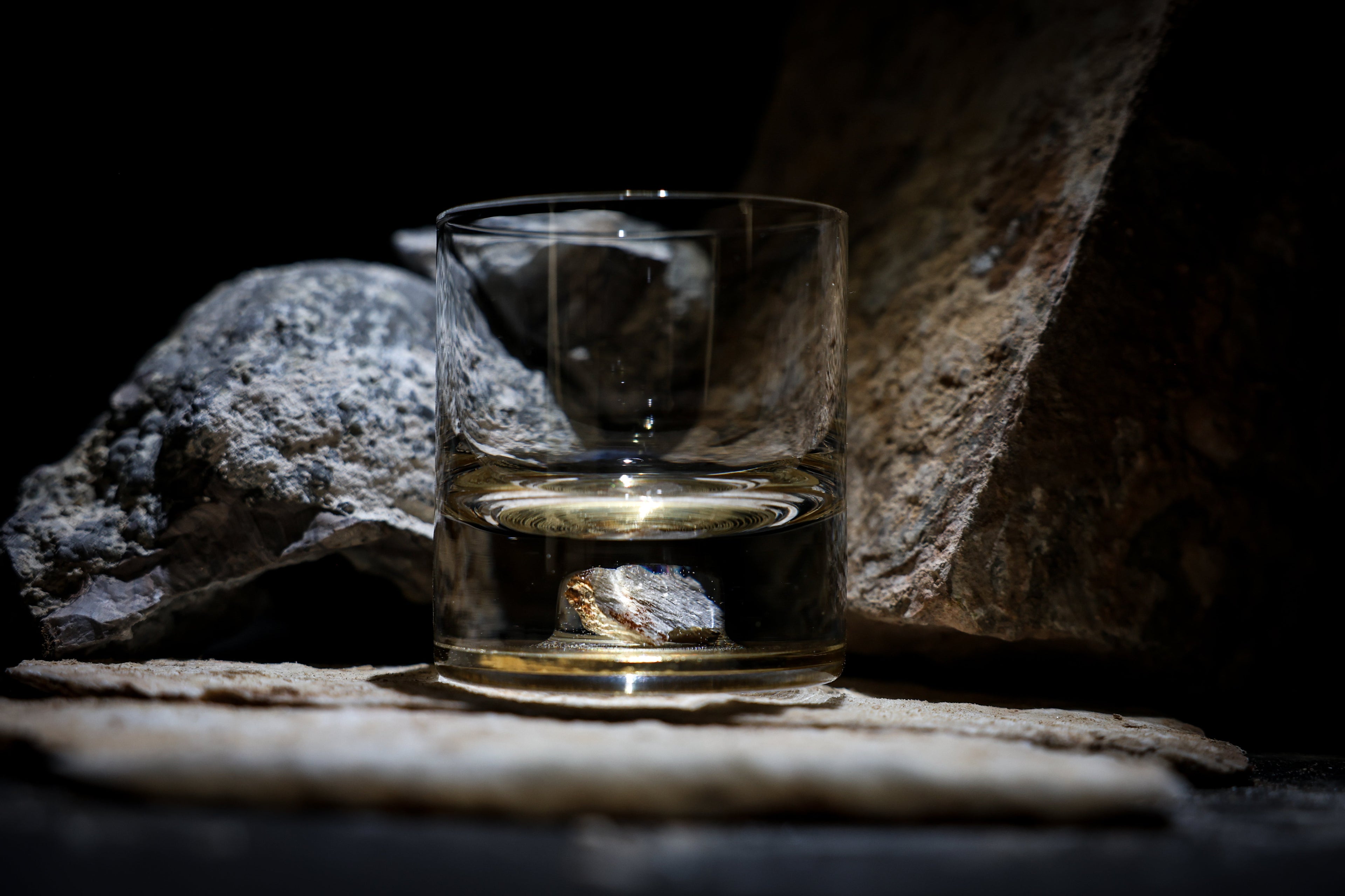 Dinosaur Bone Shard Tumbler (Series III) - Set of 2