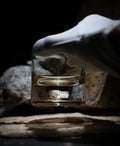 Dinosaur Bone Shard Tumbler (Series III) - Set of 2