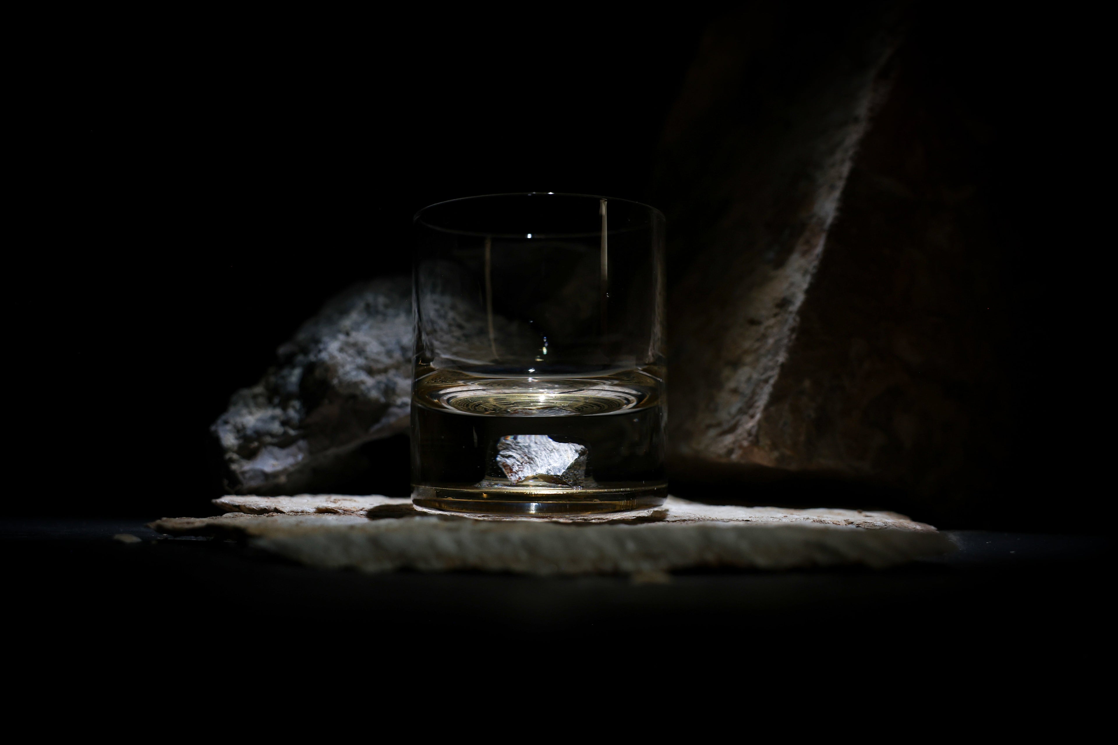 Dinosaur Bone Shard Tumbler (Series III) - Set of 2